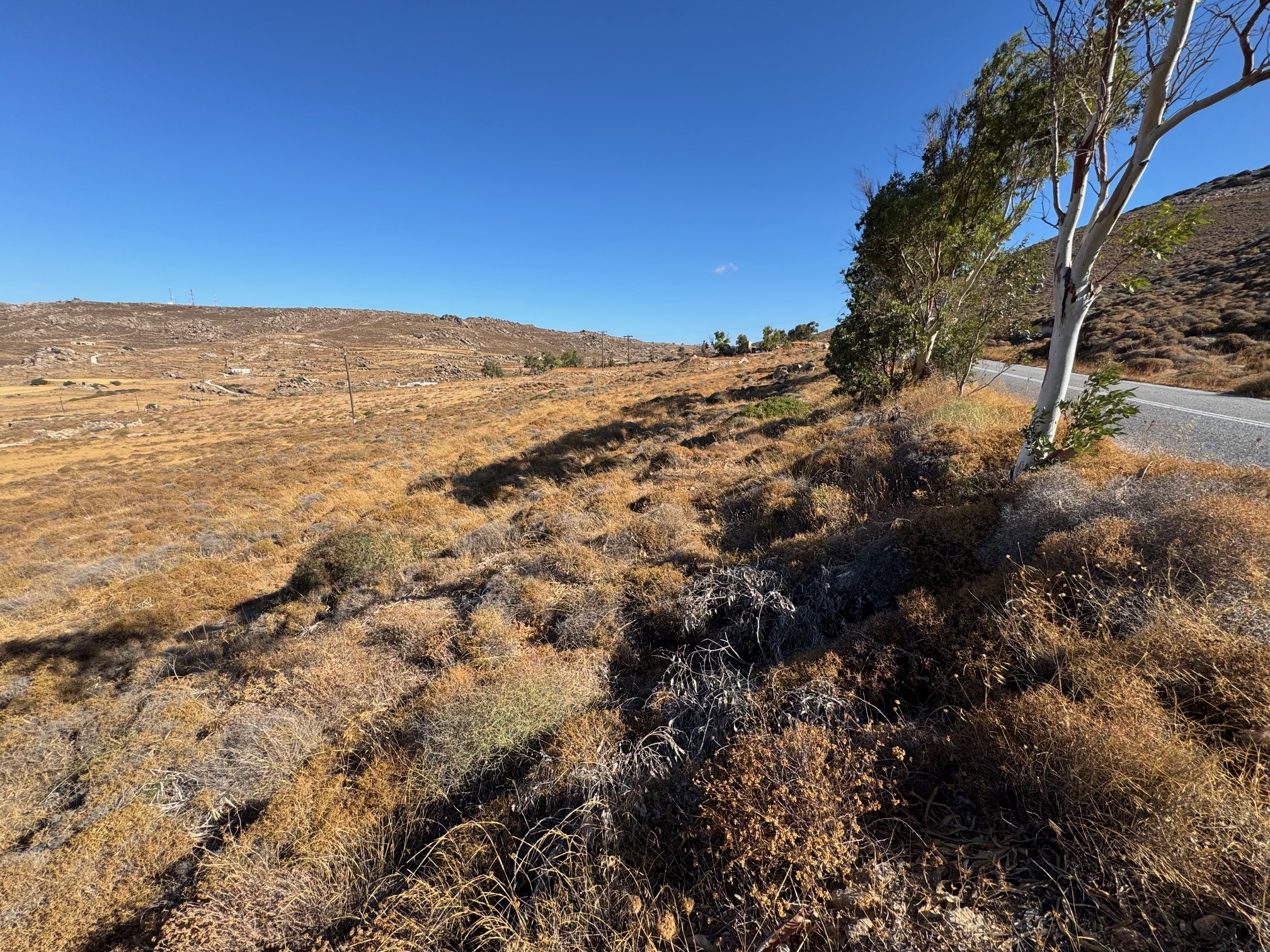 Αγροτεμάχιο 4140 sq.m. σε πλειστηριασμό Municipality of Naxos & Small Cyclades
