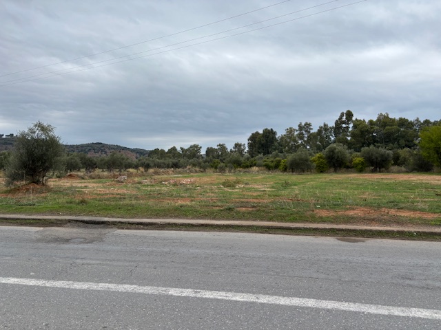 Αγροτεμάχιο  σε πλειστηριασμό Δήμος Σπάρτης