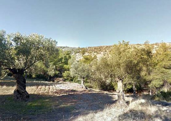 Οικόπεδο 350.57 sq.m. σε πλειστηριασμό Municipality of Mandra - Idyllia