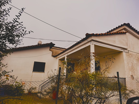 photo5