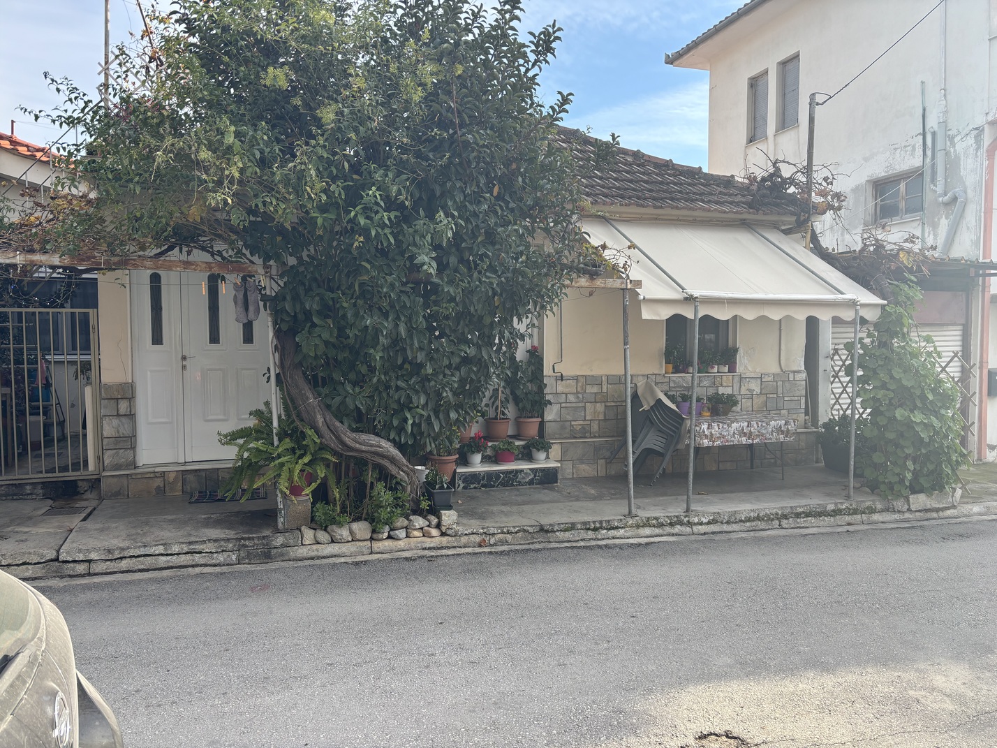 photo1