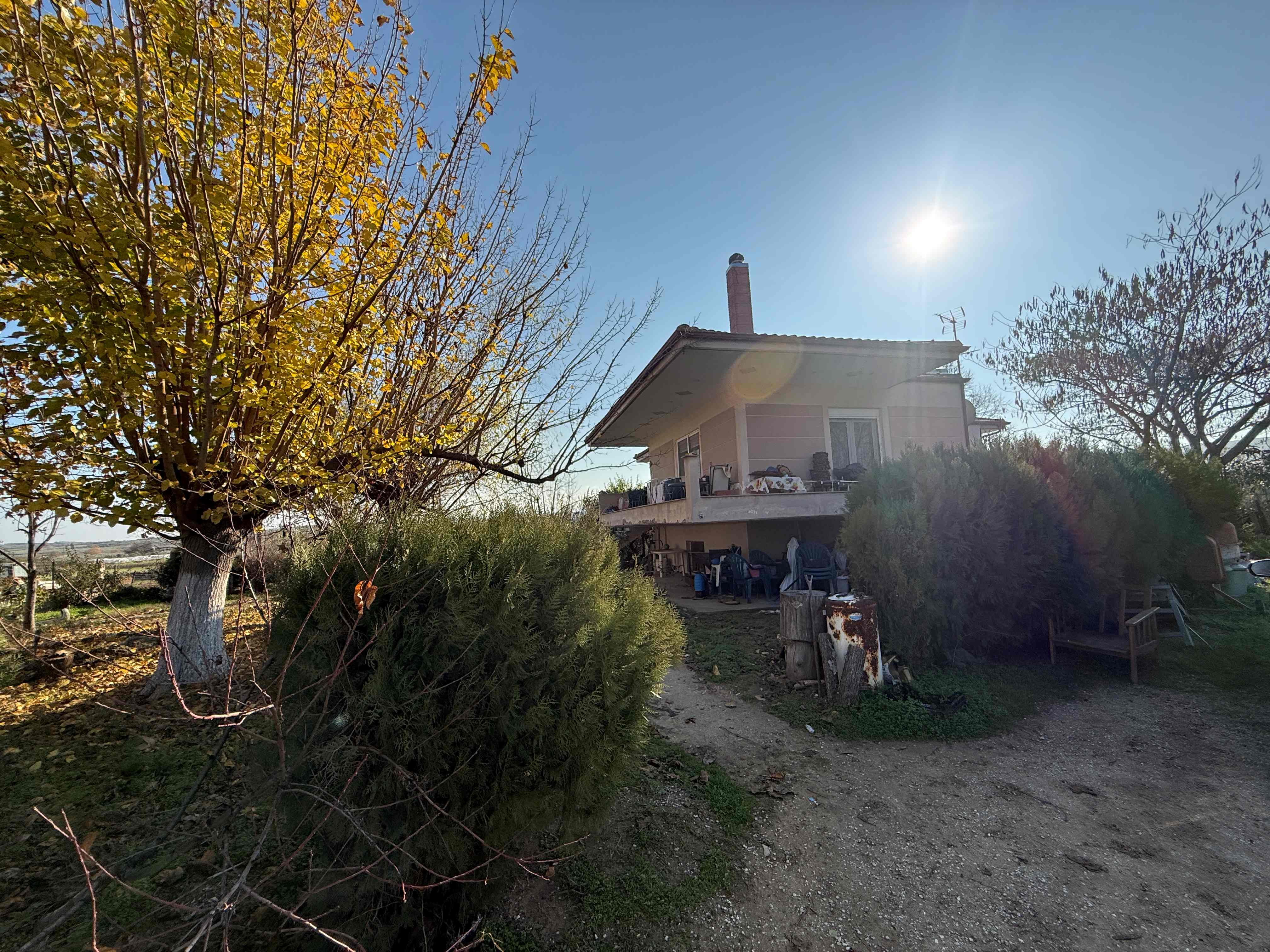 photo1