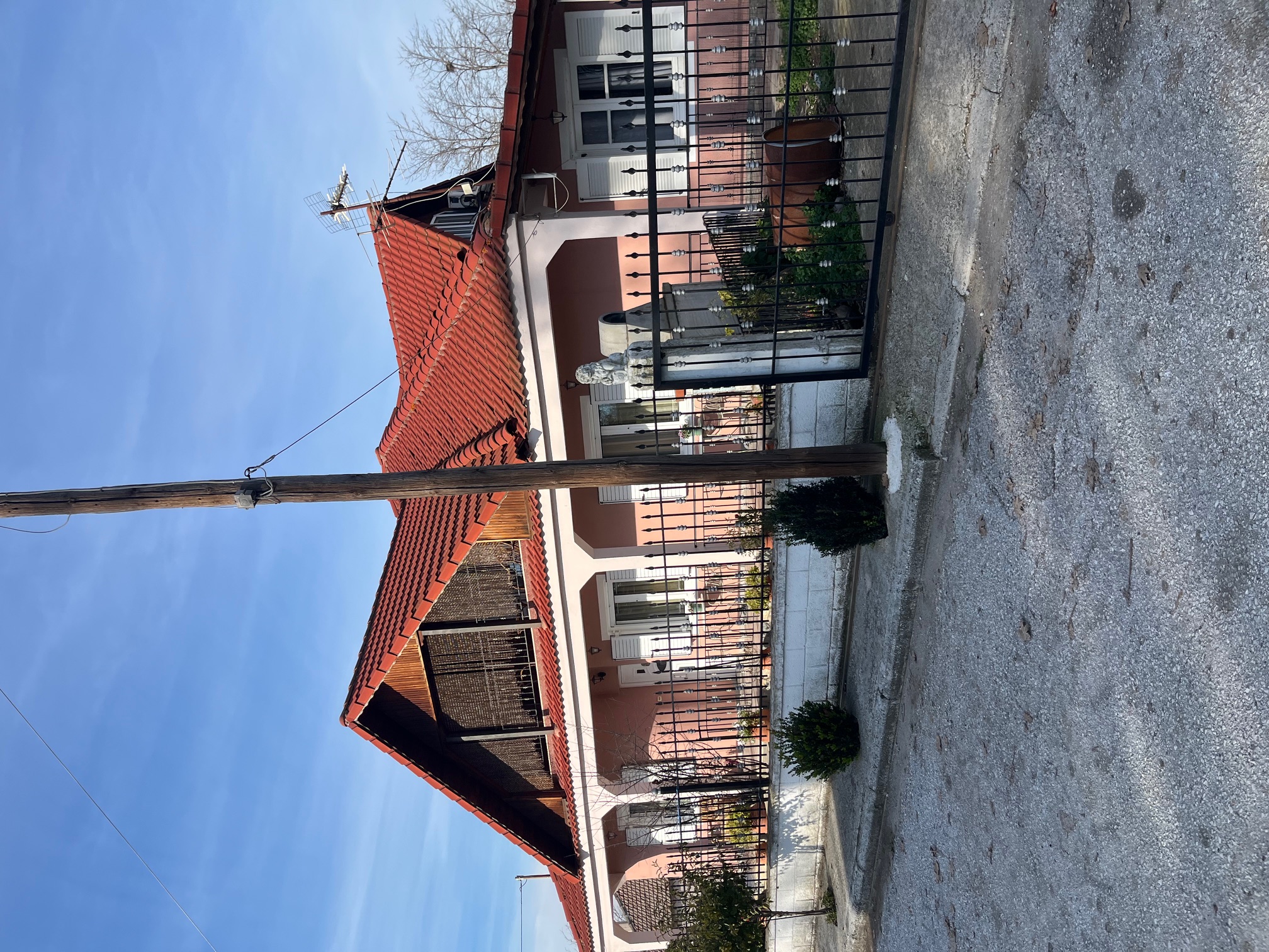 photo1