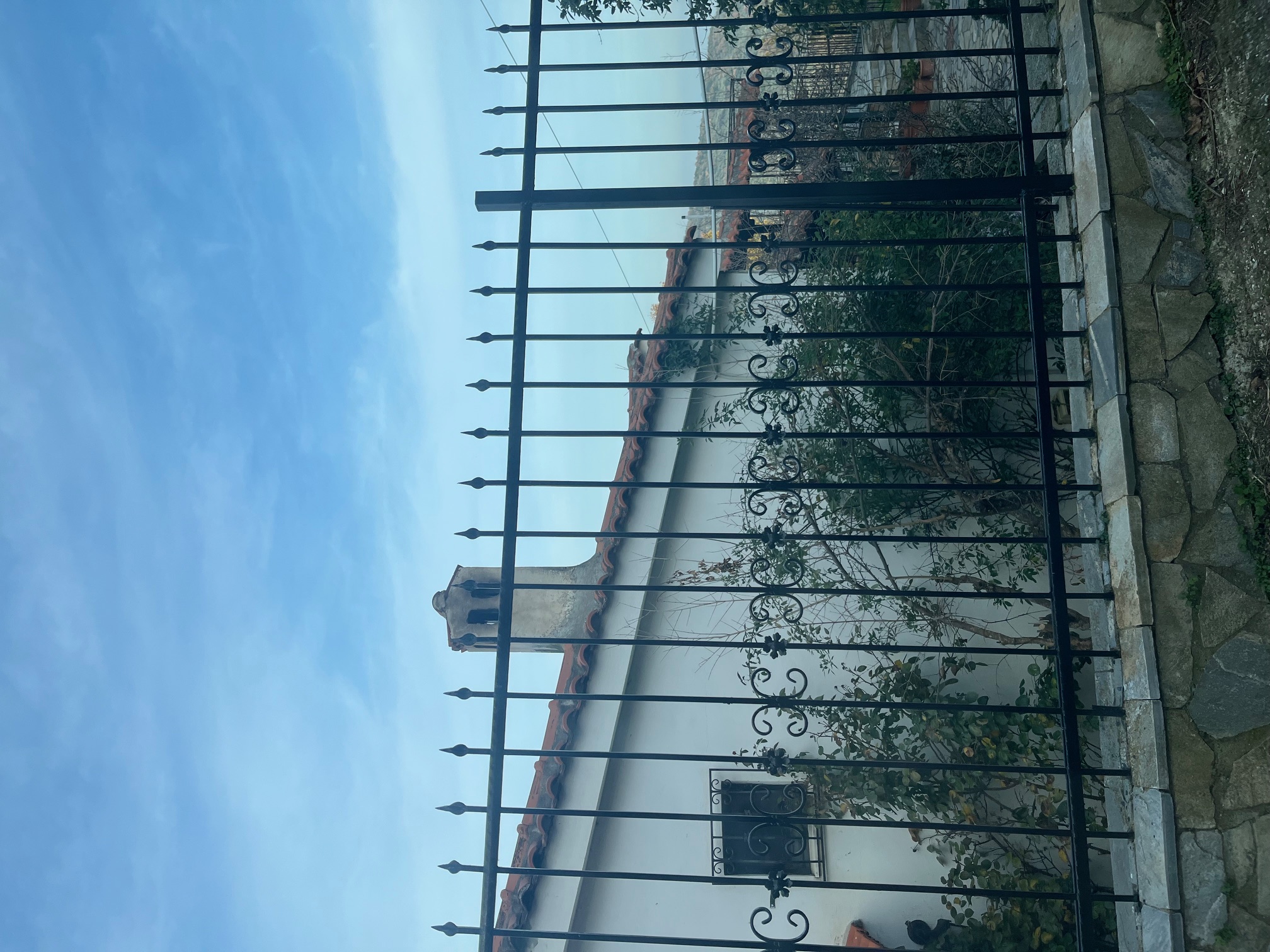 photo1