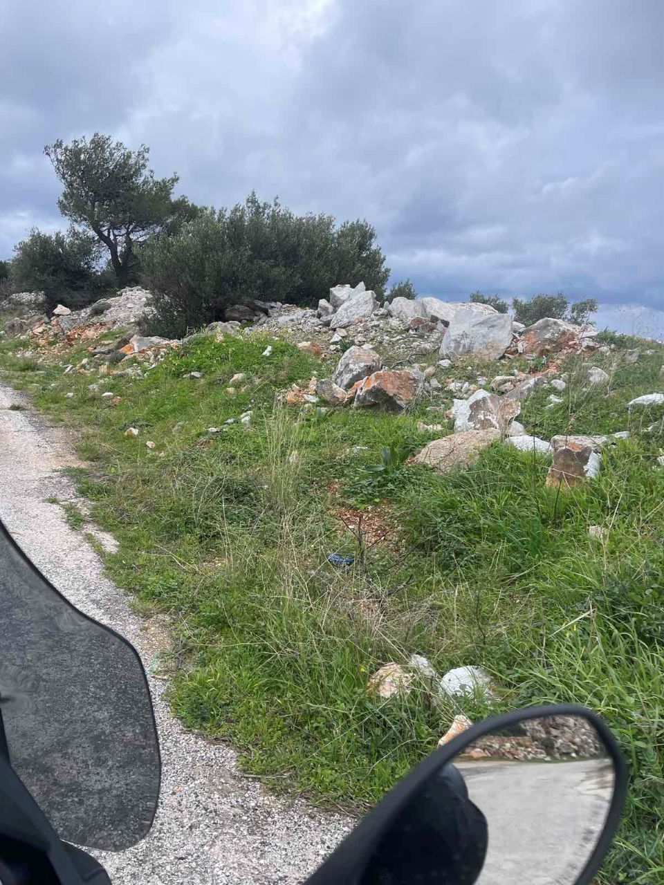 photo1