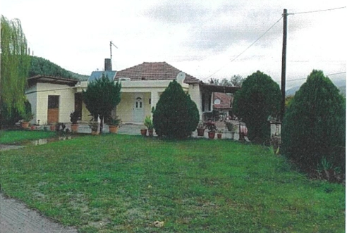 photo0