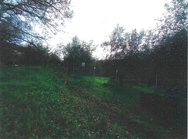 photo0