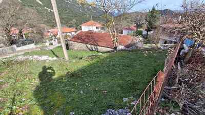 photo1