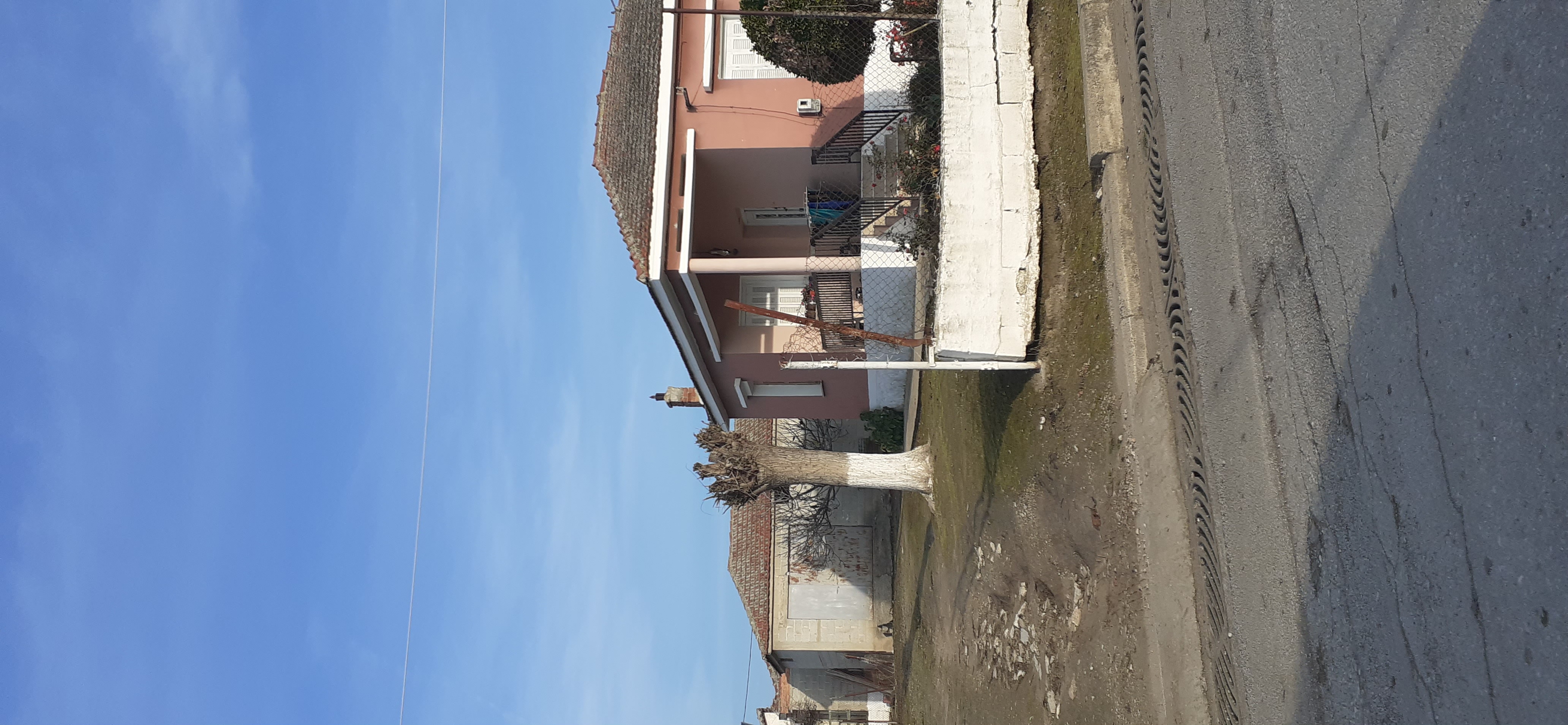 photo1