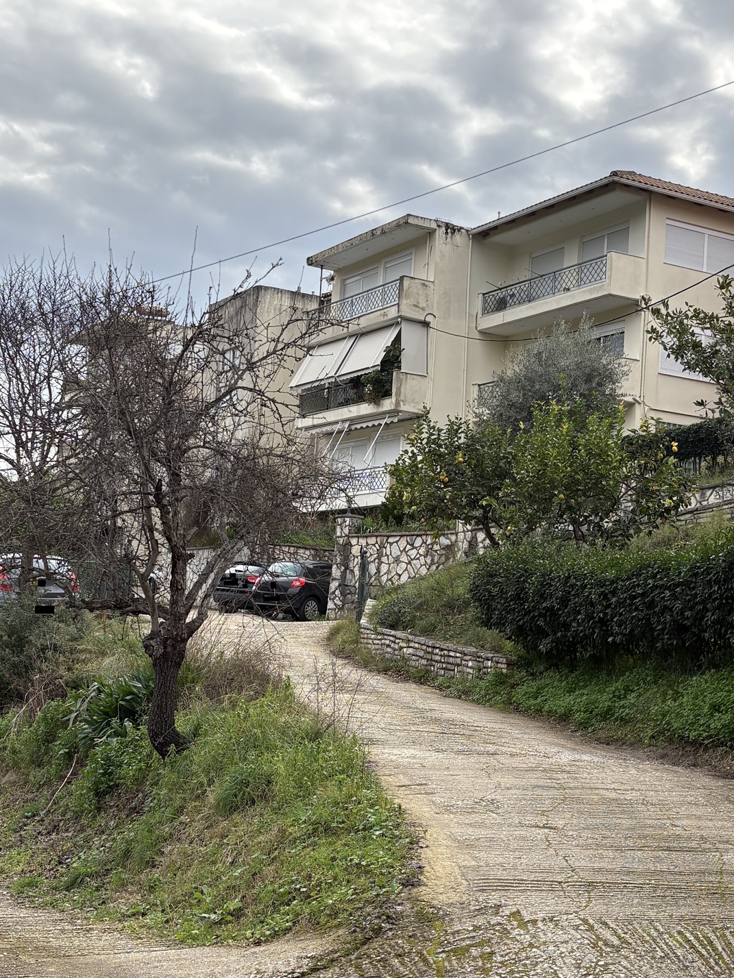 photo1