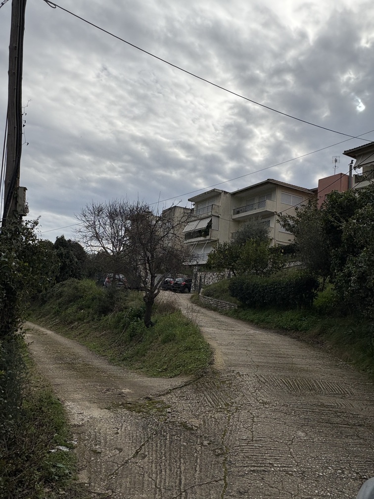 photo2