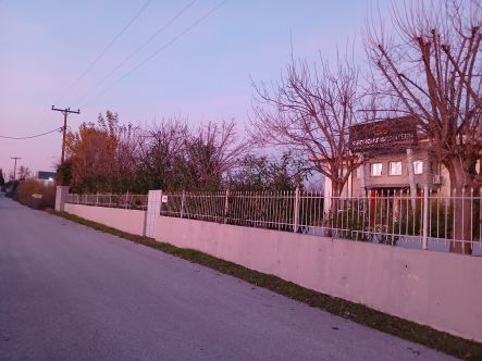 photo1