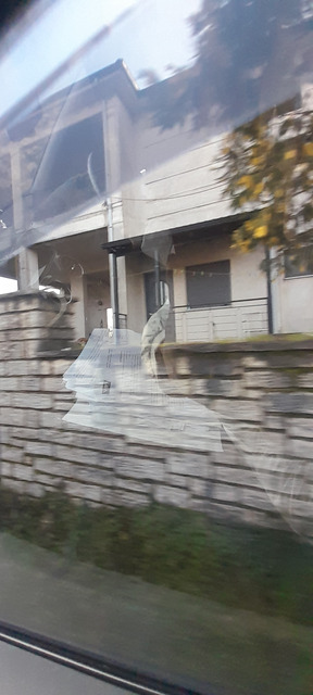 photo8