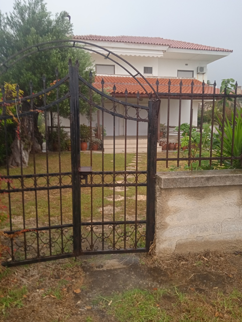 photo2