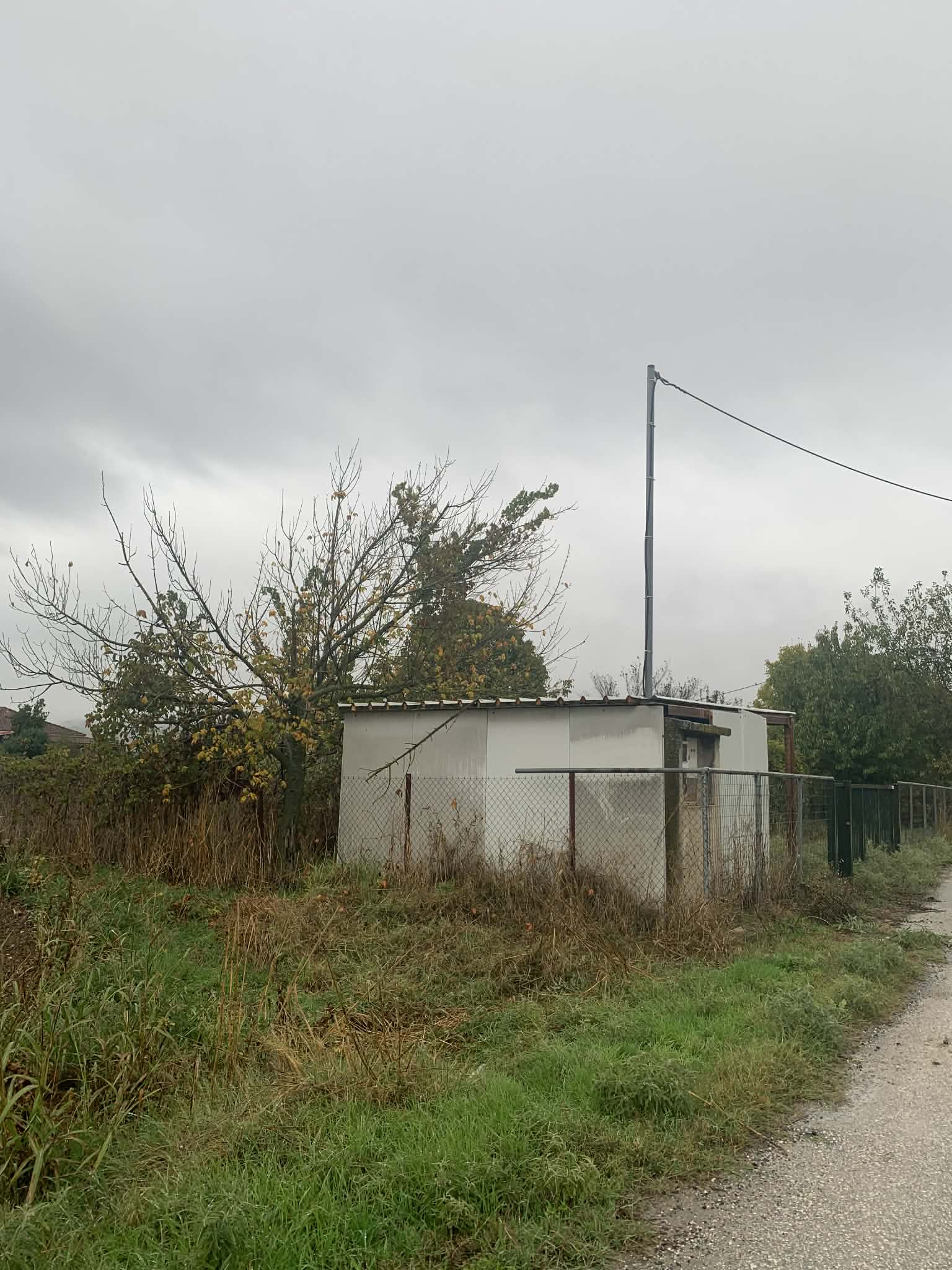 photo1