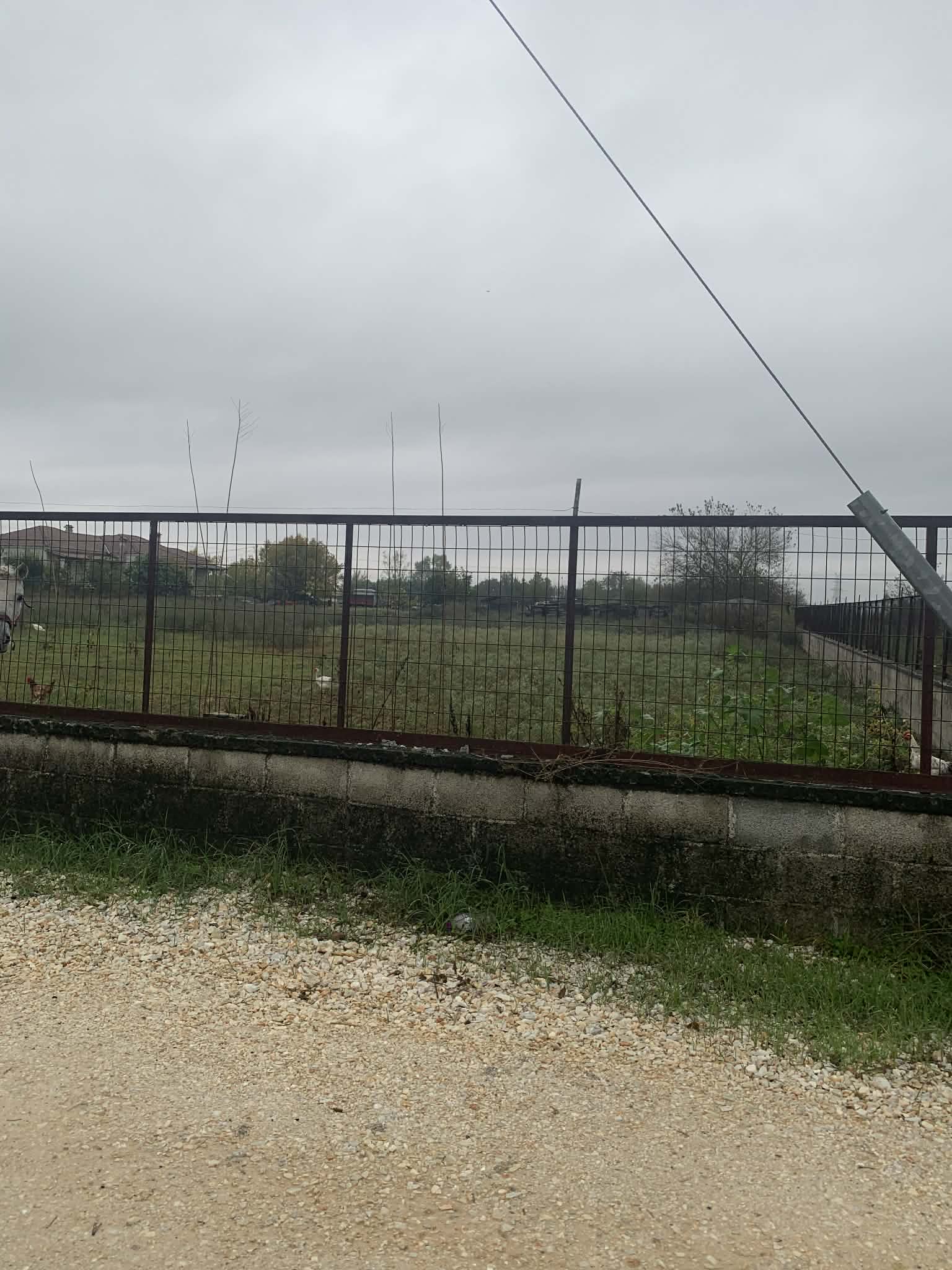 photo0