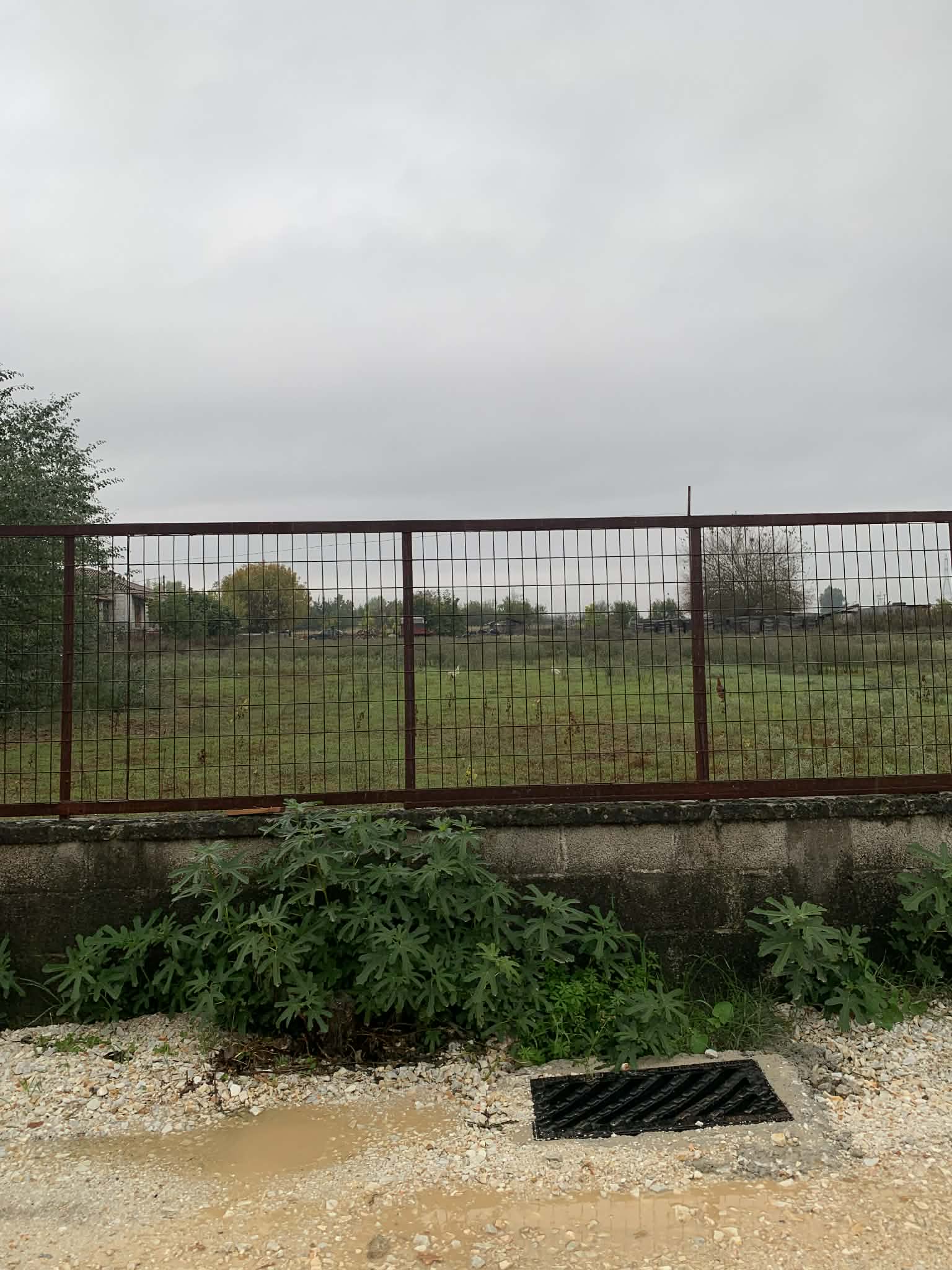 photo1