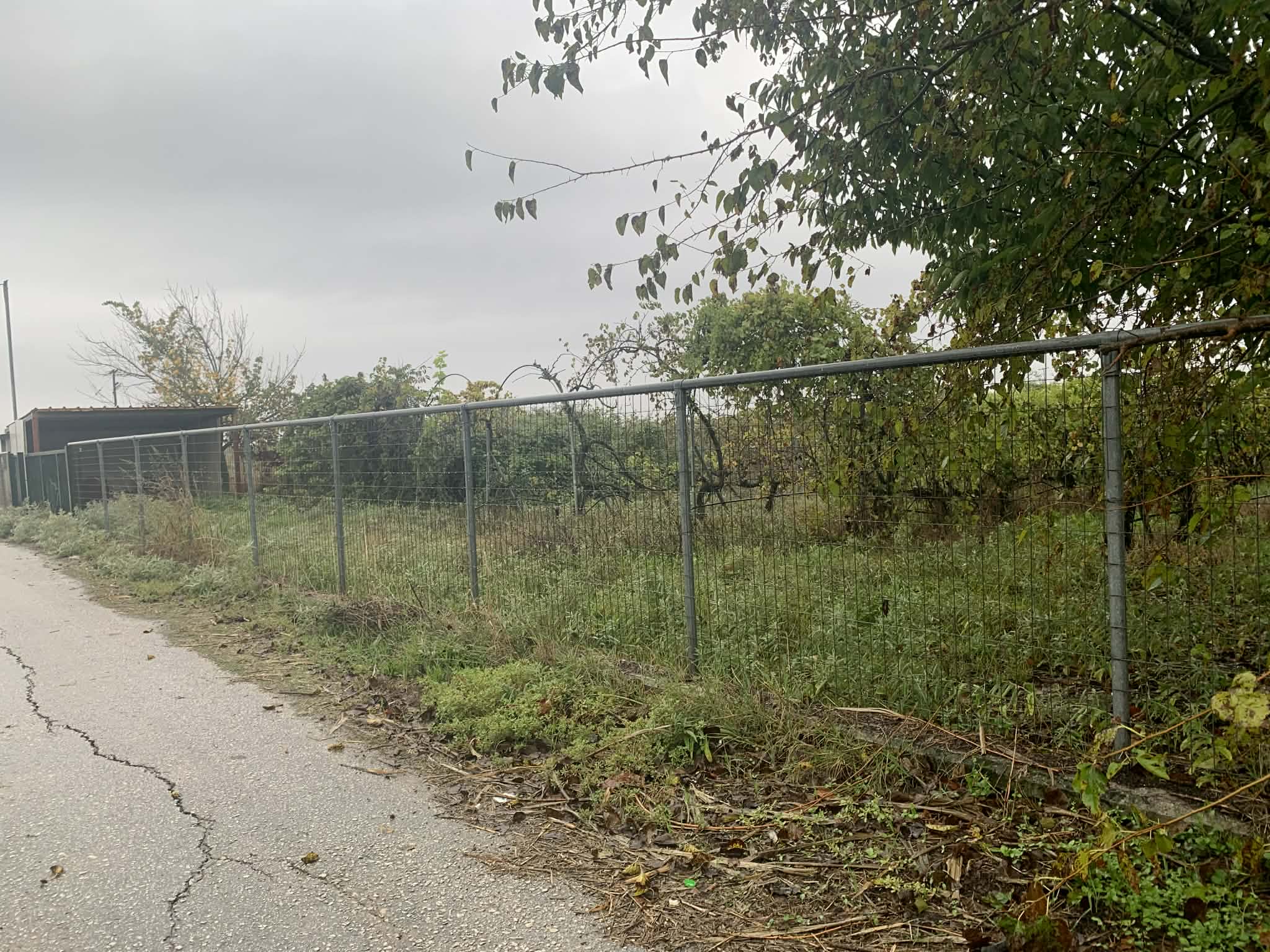 Αγροτεμάχιο με κτίσμα 4800 sq.m. σε πλειστηριασμό Municipality of Farkadona