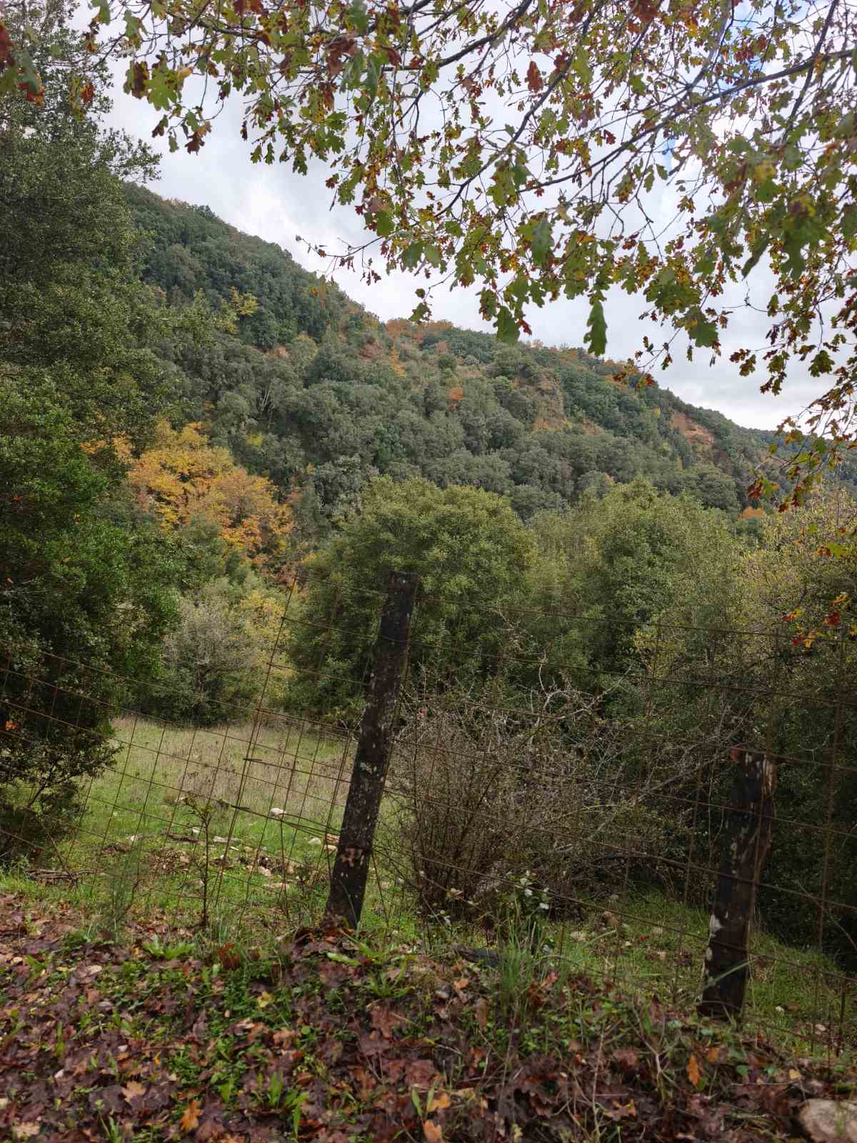photo1