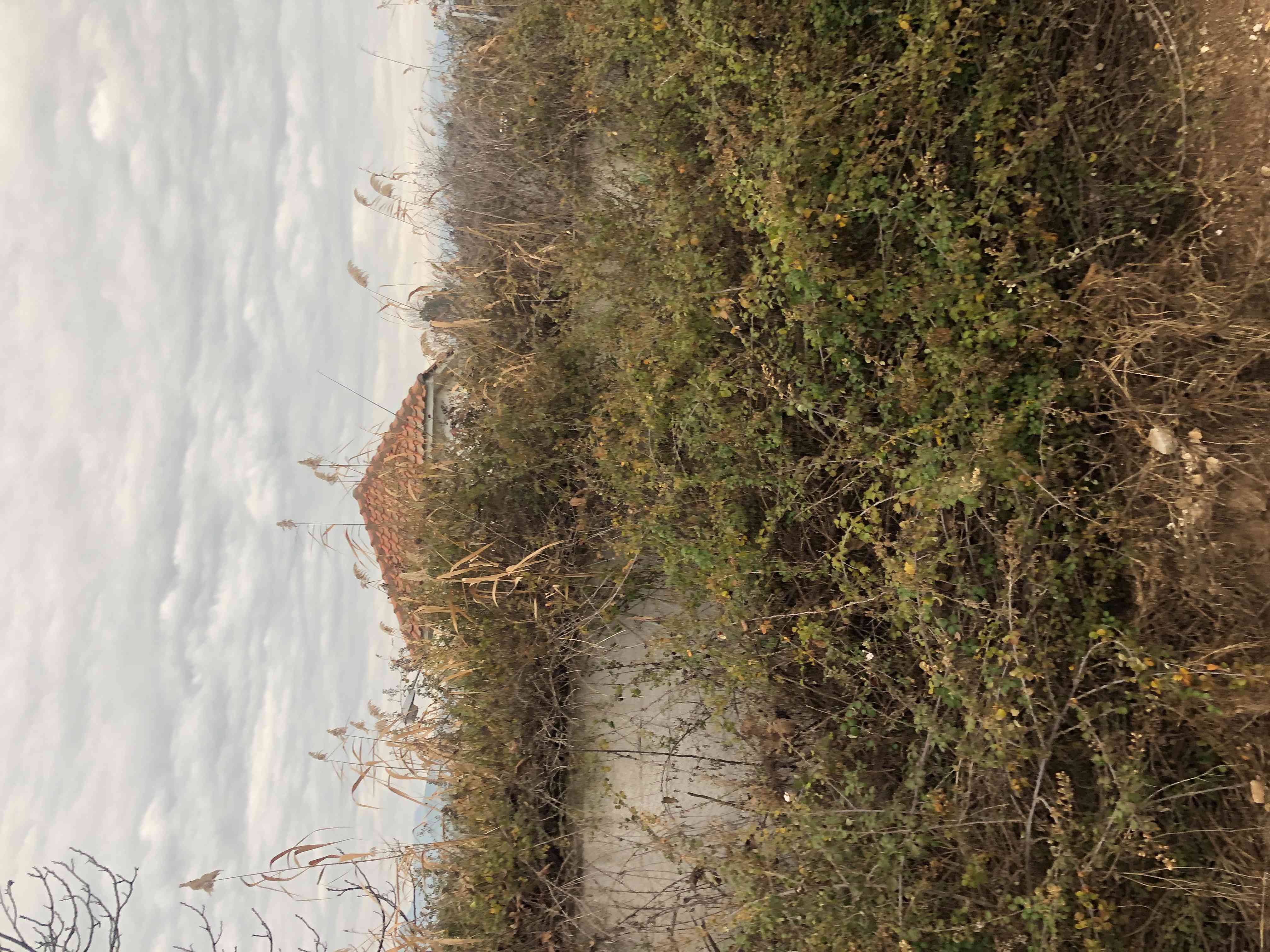 photo0