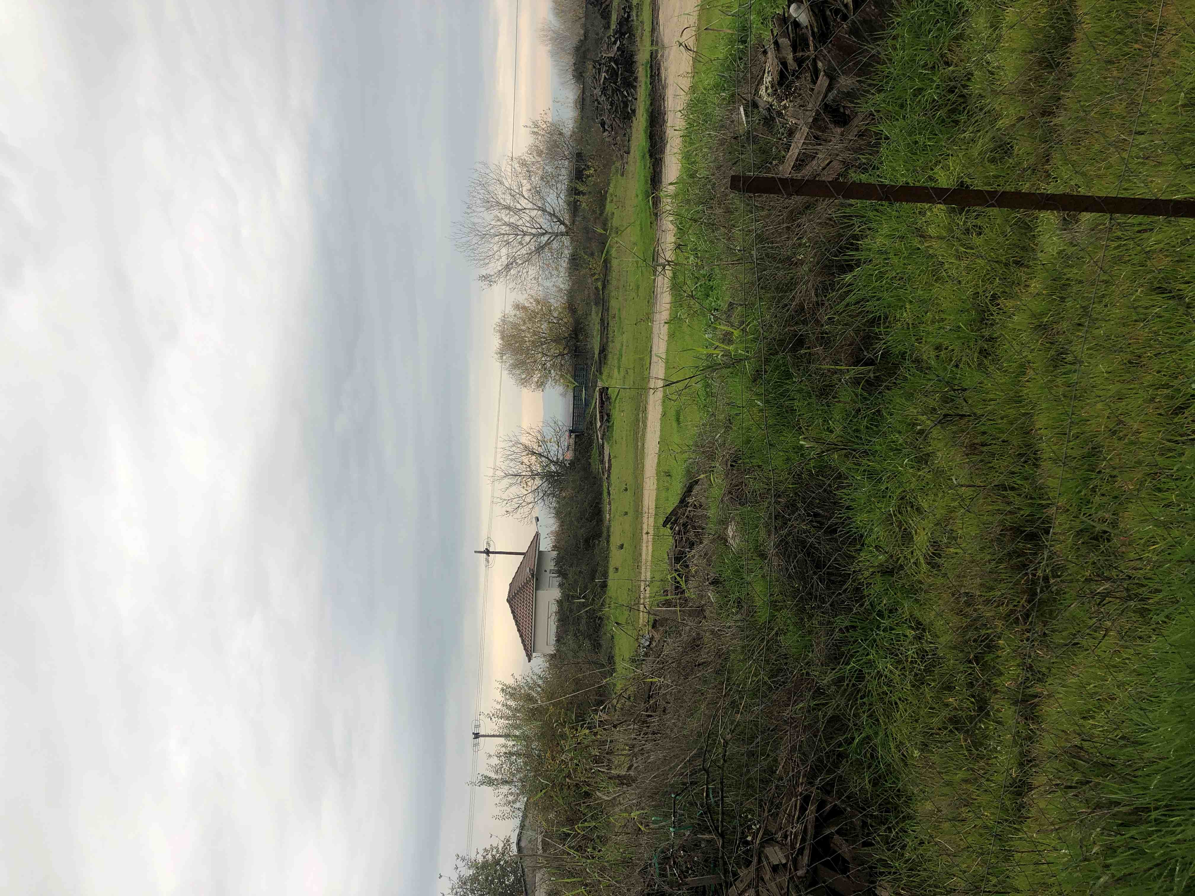 photo1