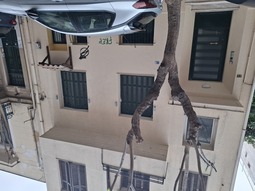 photo1