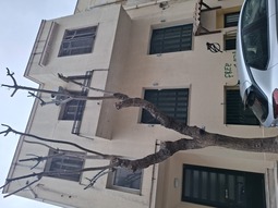 photo2