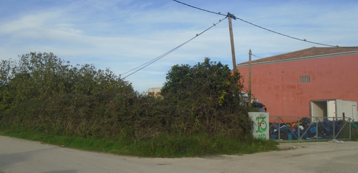 photo1