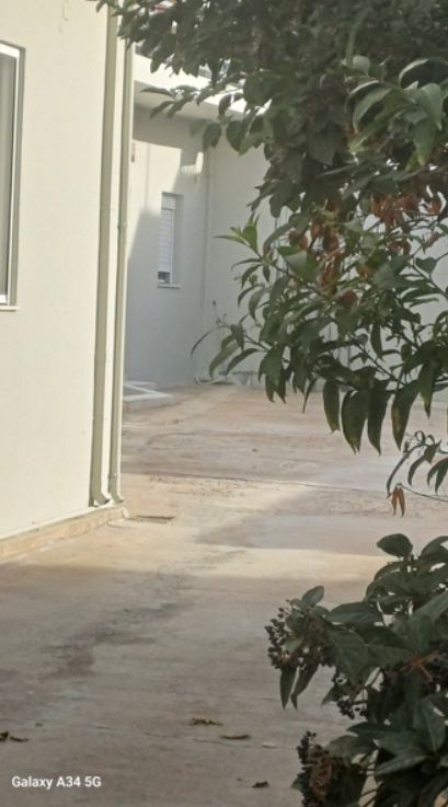 photo1