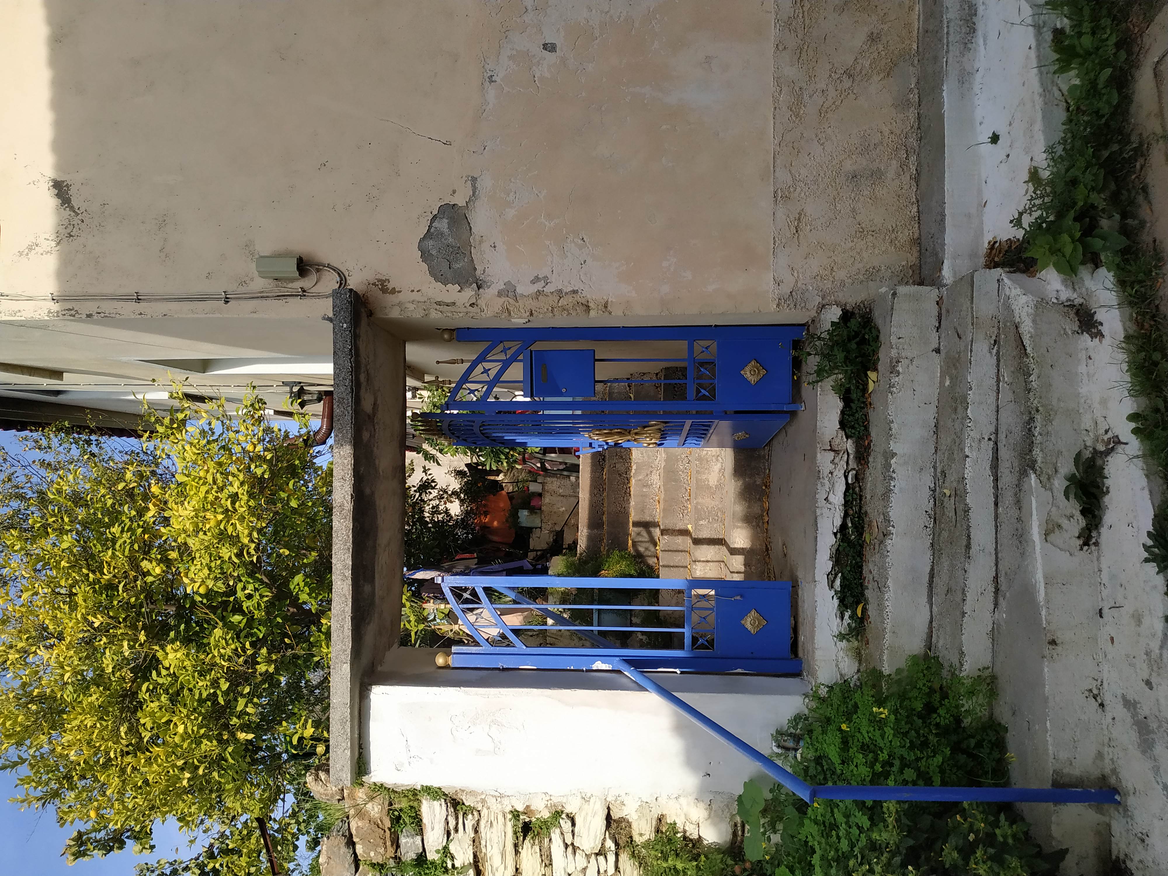 photo1