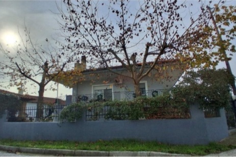photo0