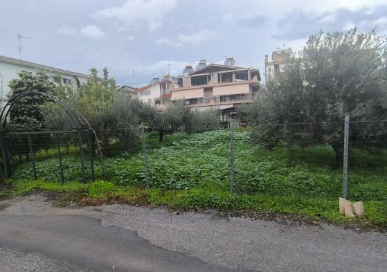 Κατοικία 12.50 τ.μ. σε πλειστηριασμό Δήμος Κατερίνης