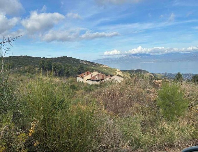 photo0