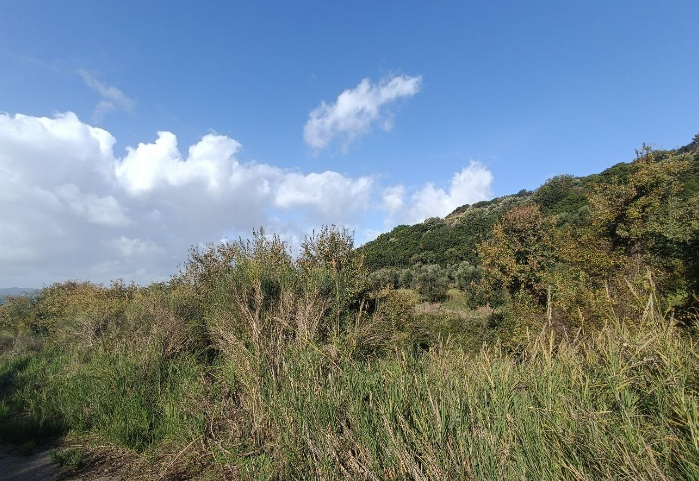 photo3