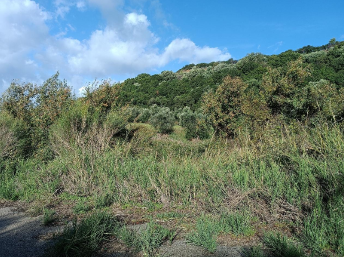 photo4