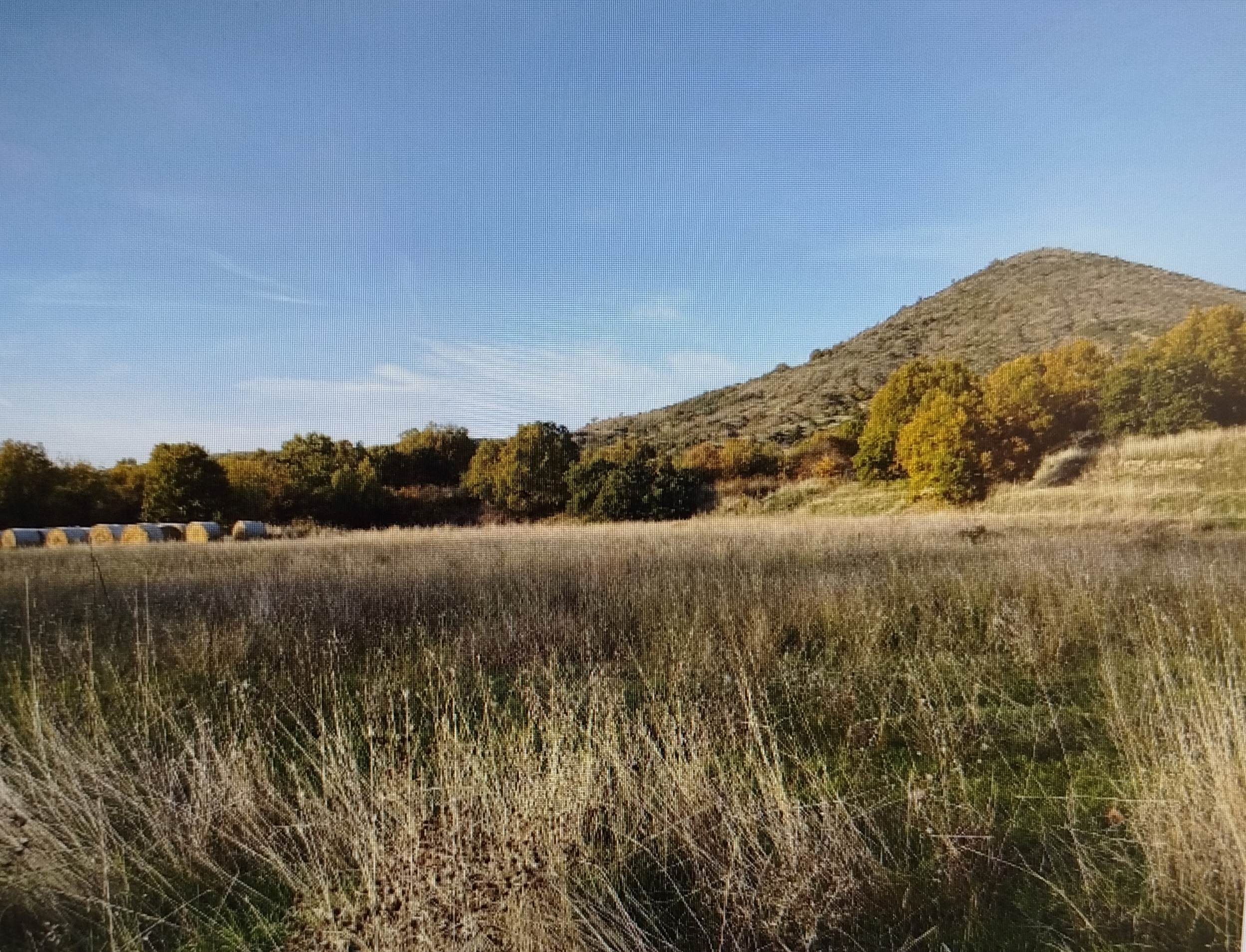Αγροτεμάχιο 8125 τ.μ. σε πλειστηριασμό Δήμος Πρεσπών