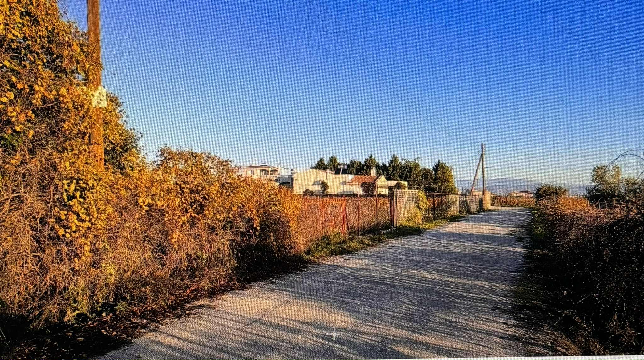 photo0