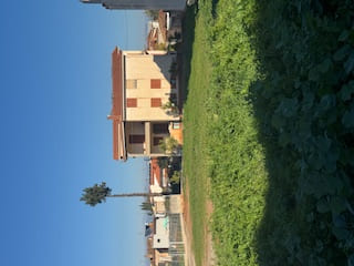 photo1