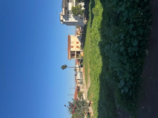 photo3