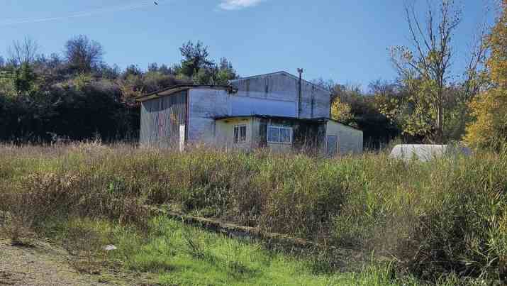photo1