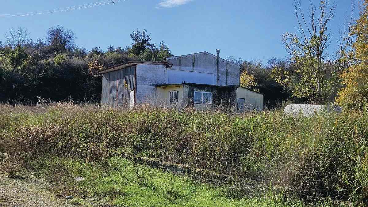 photo2