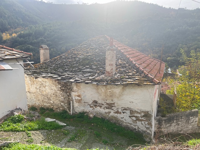 photo1