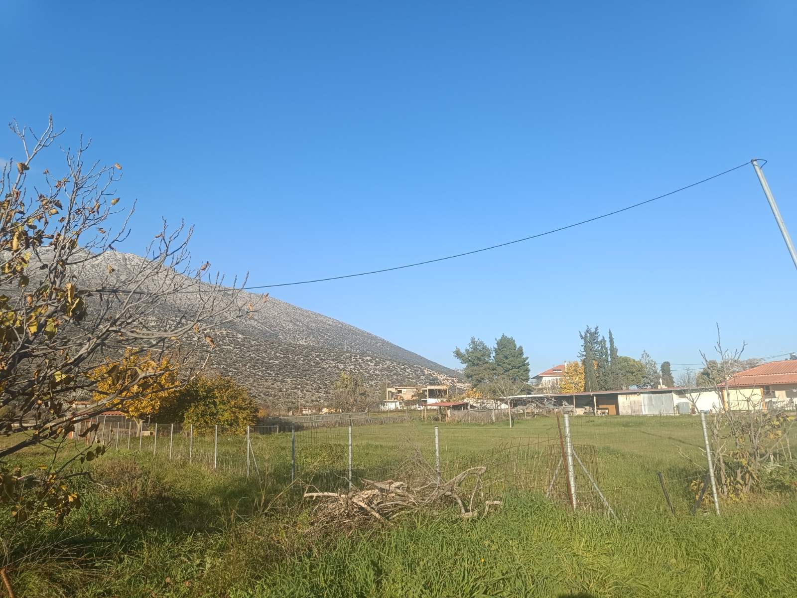 photo4
