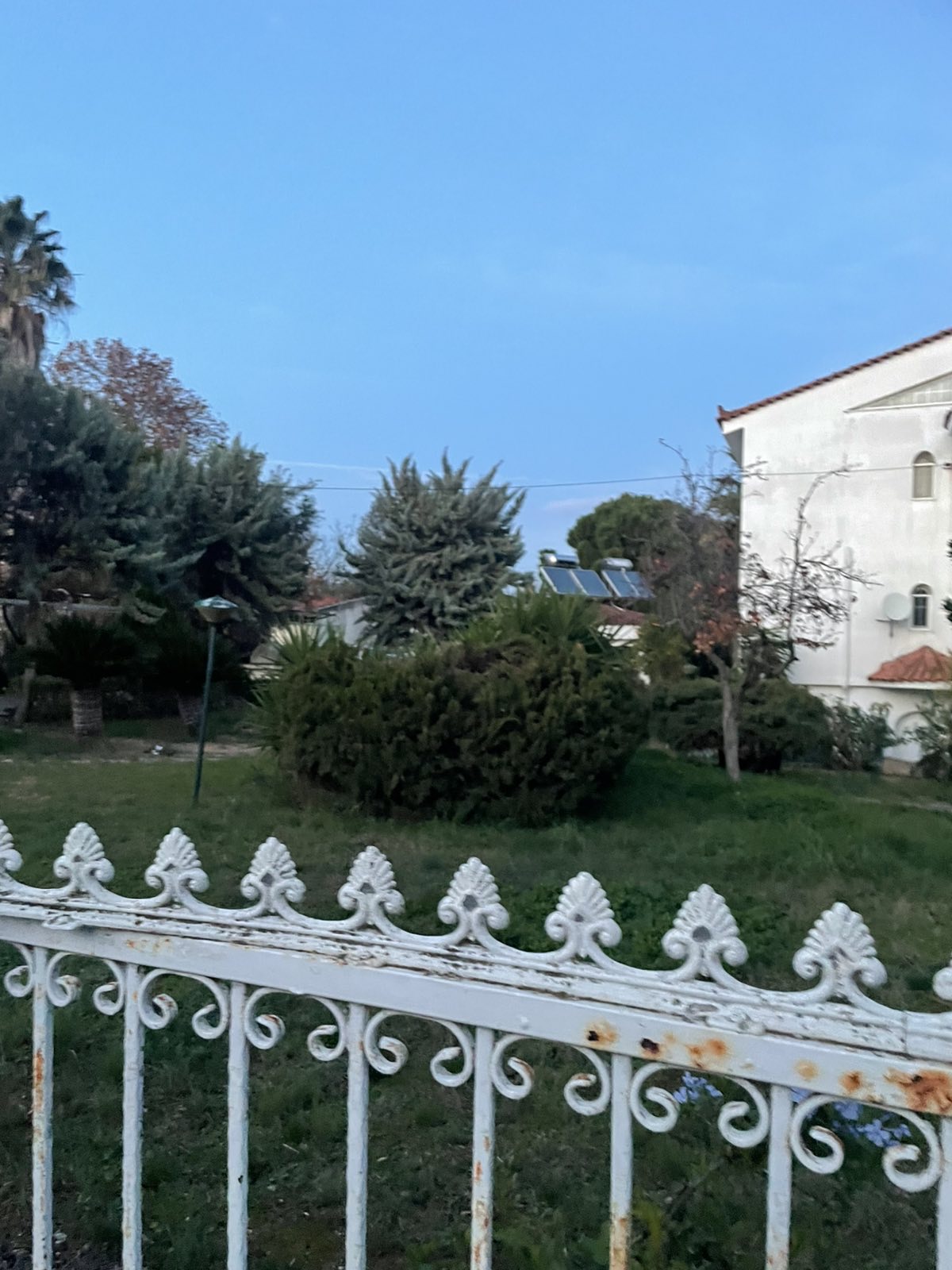 photo1