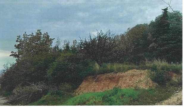 photo0