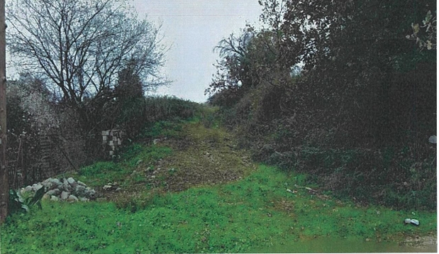 photo1
