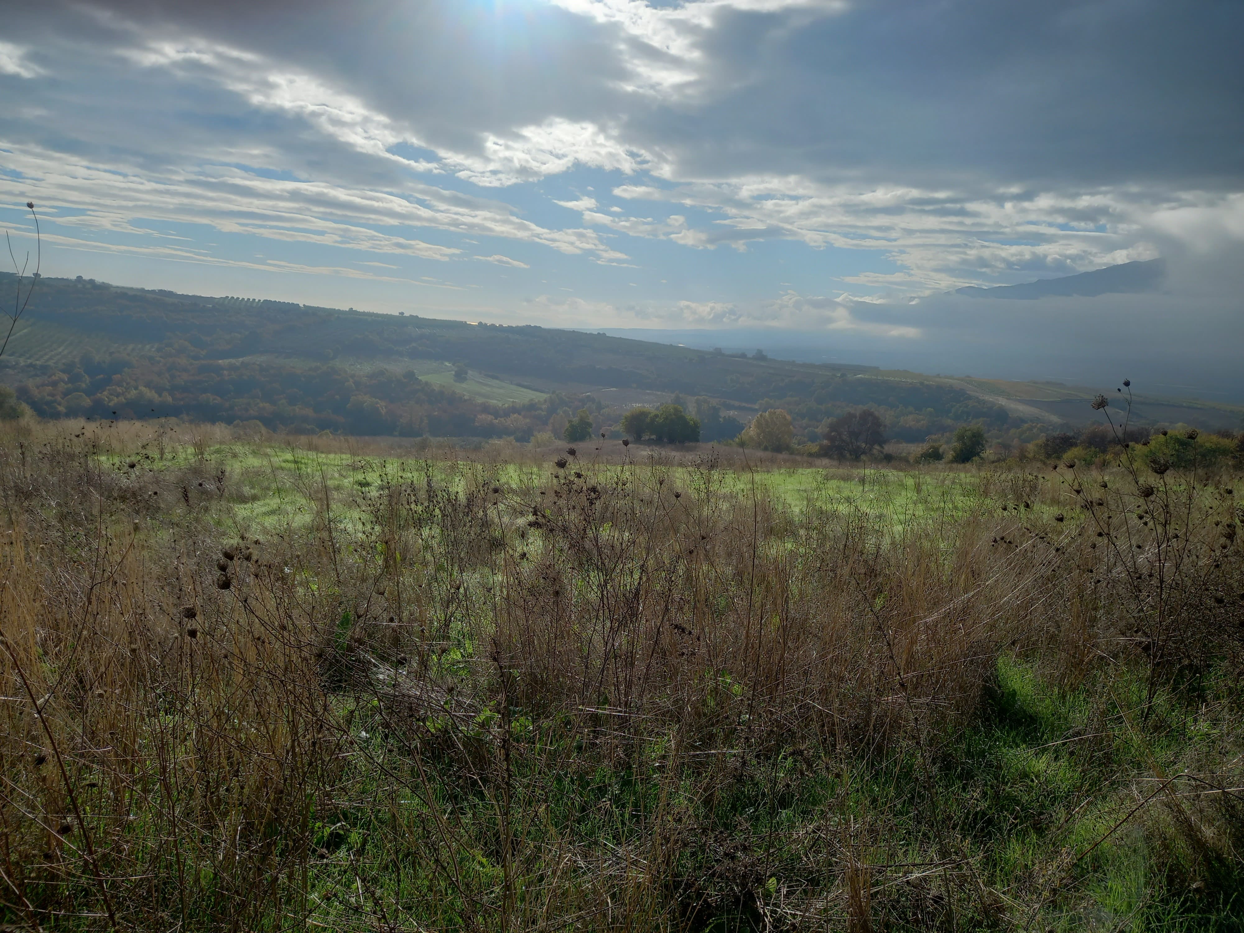 photo1