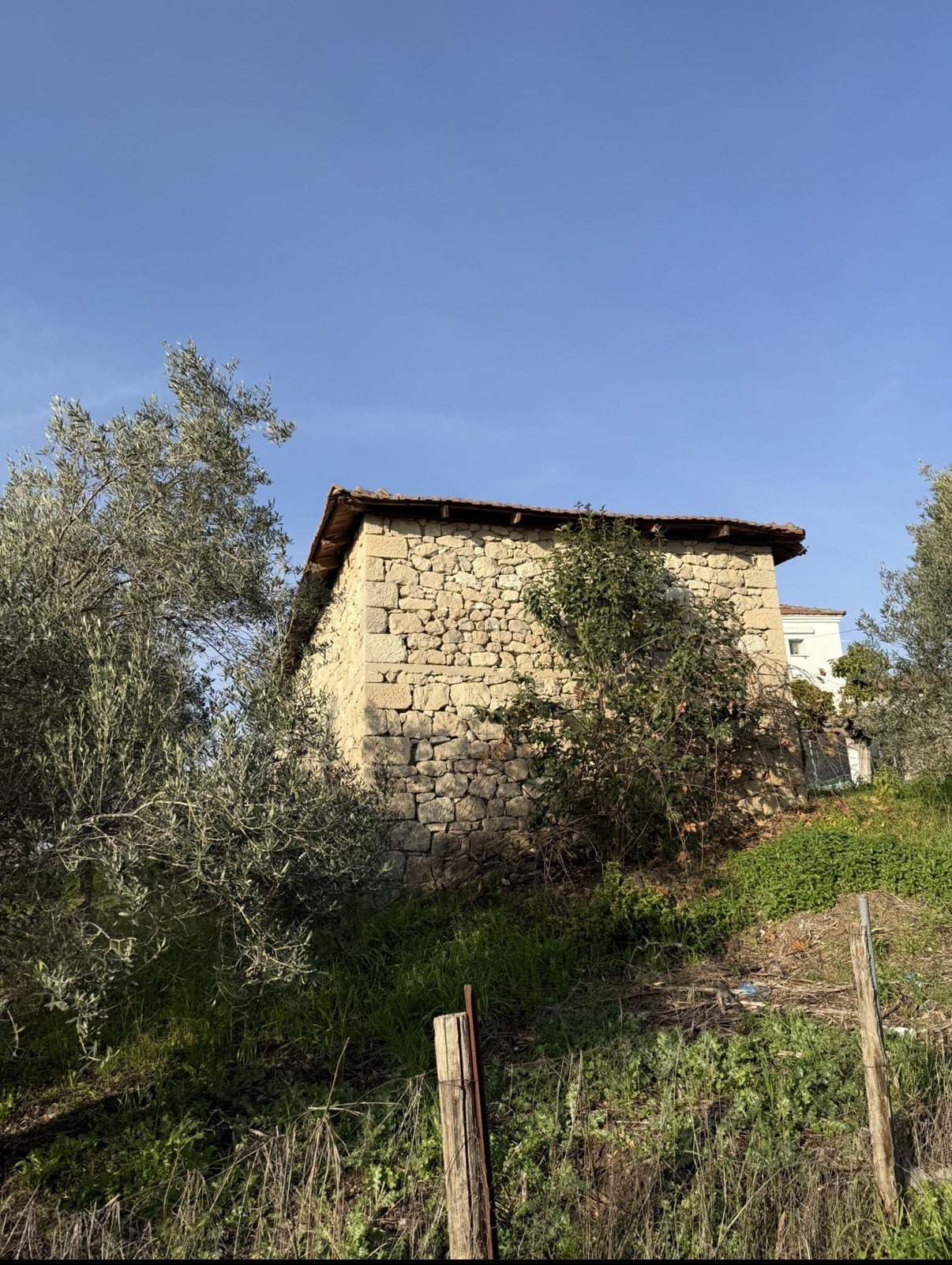 photo6