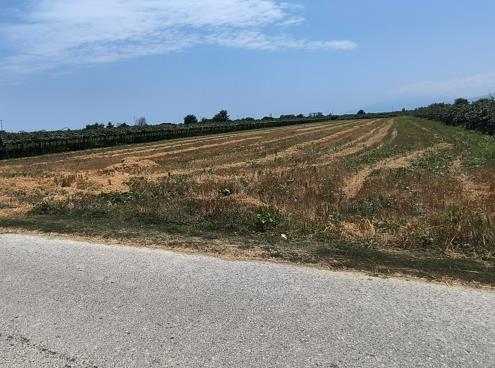 photo2
