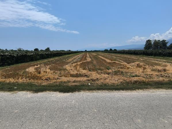 photo6